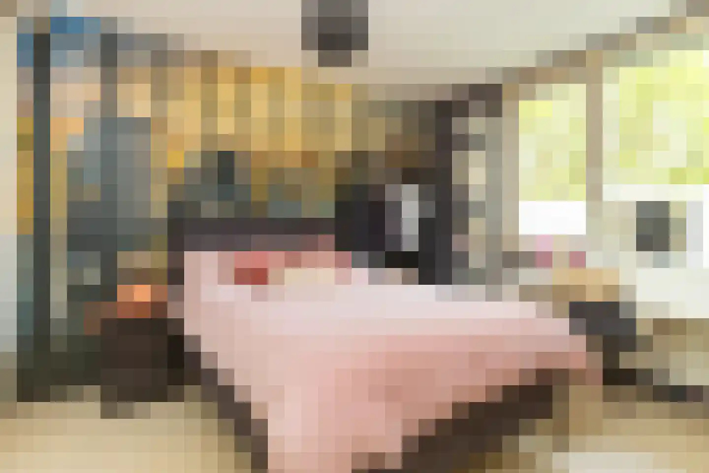 Joke Smitstraat 6 Hoofddorp thumbnail 4