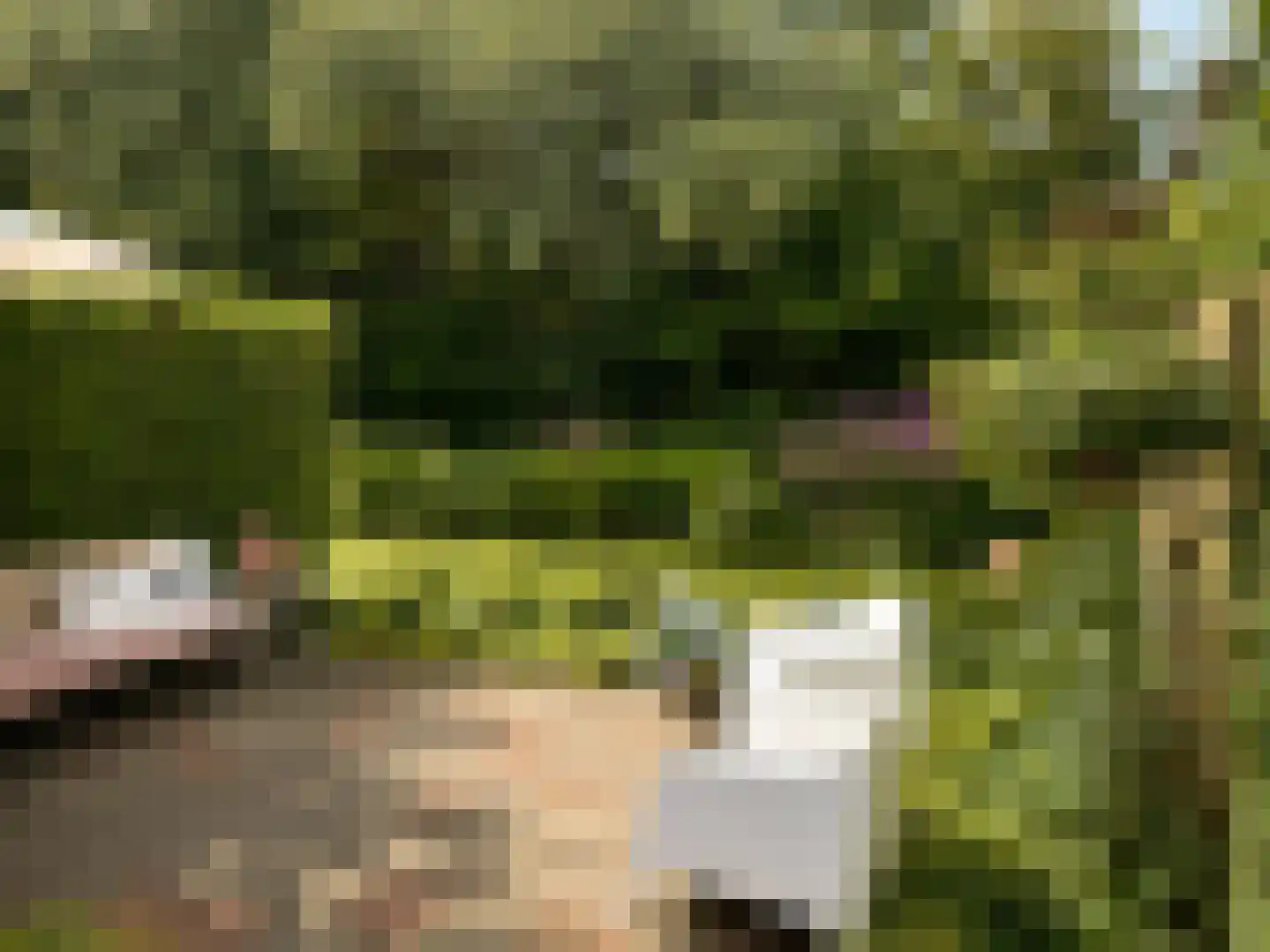 Joke Smitstraat 61 Bergen (NH) thumbnail 38