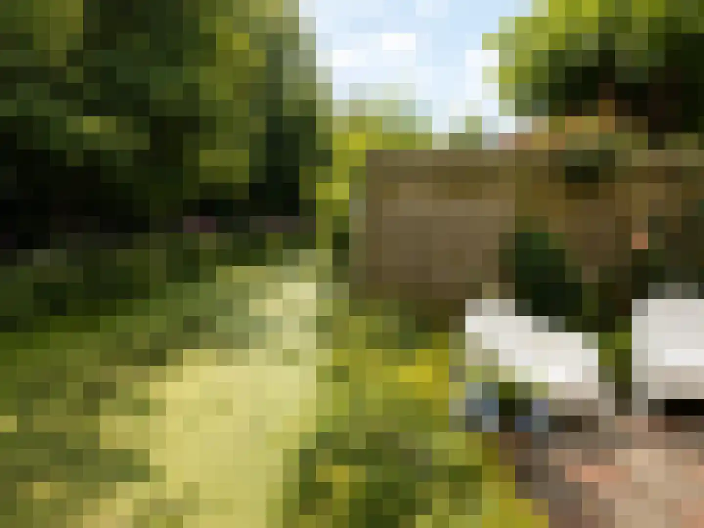 Joke Smitstraat 61 Bergen (NH) thumbnail 39