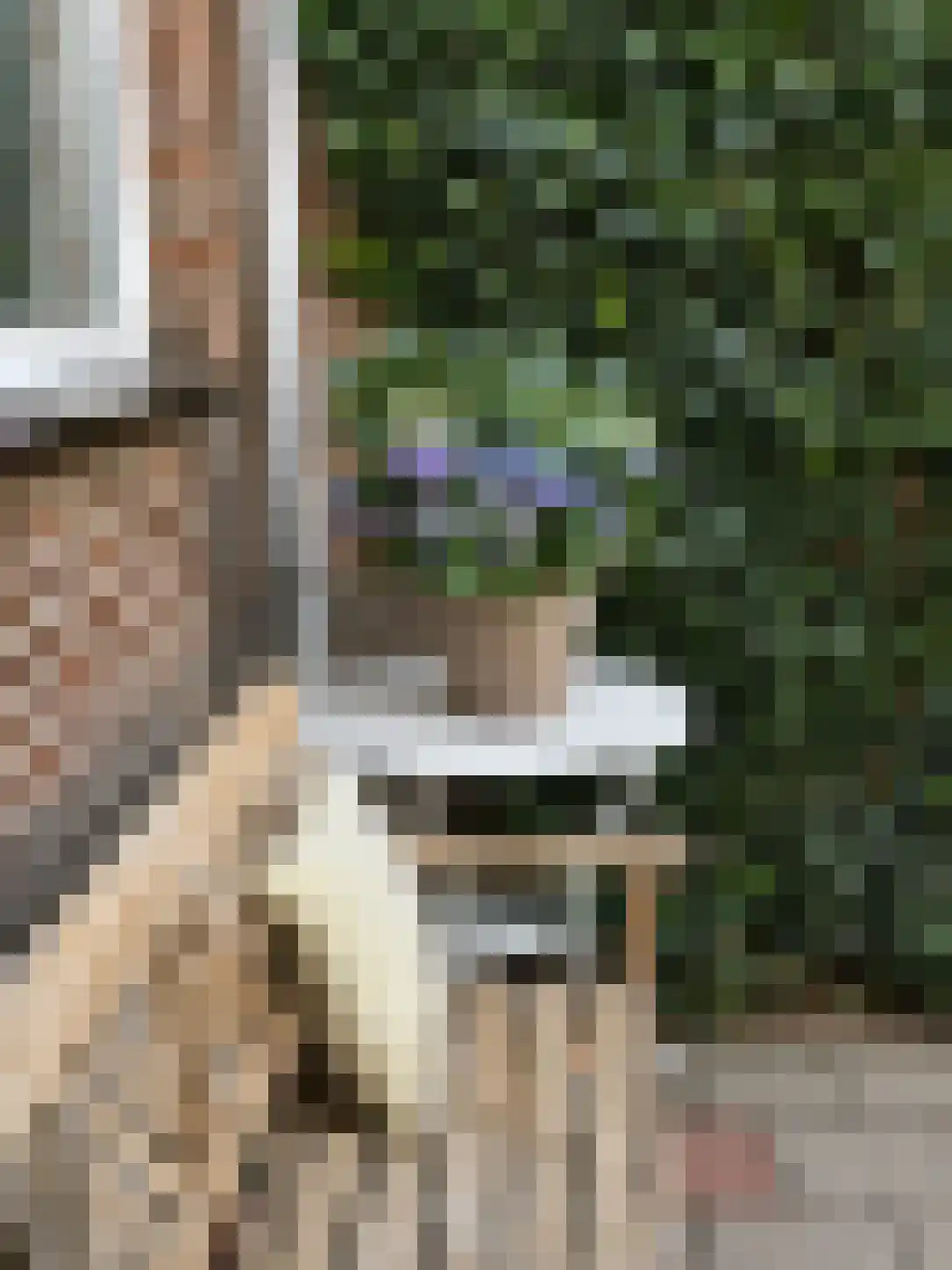 Joke Smitstraat 61 Bergen (NH) thumbnail 41