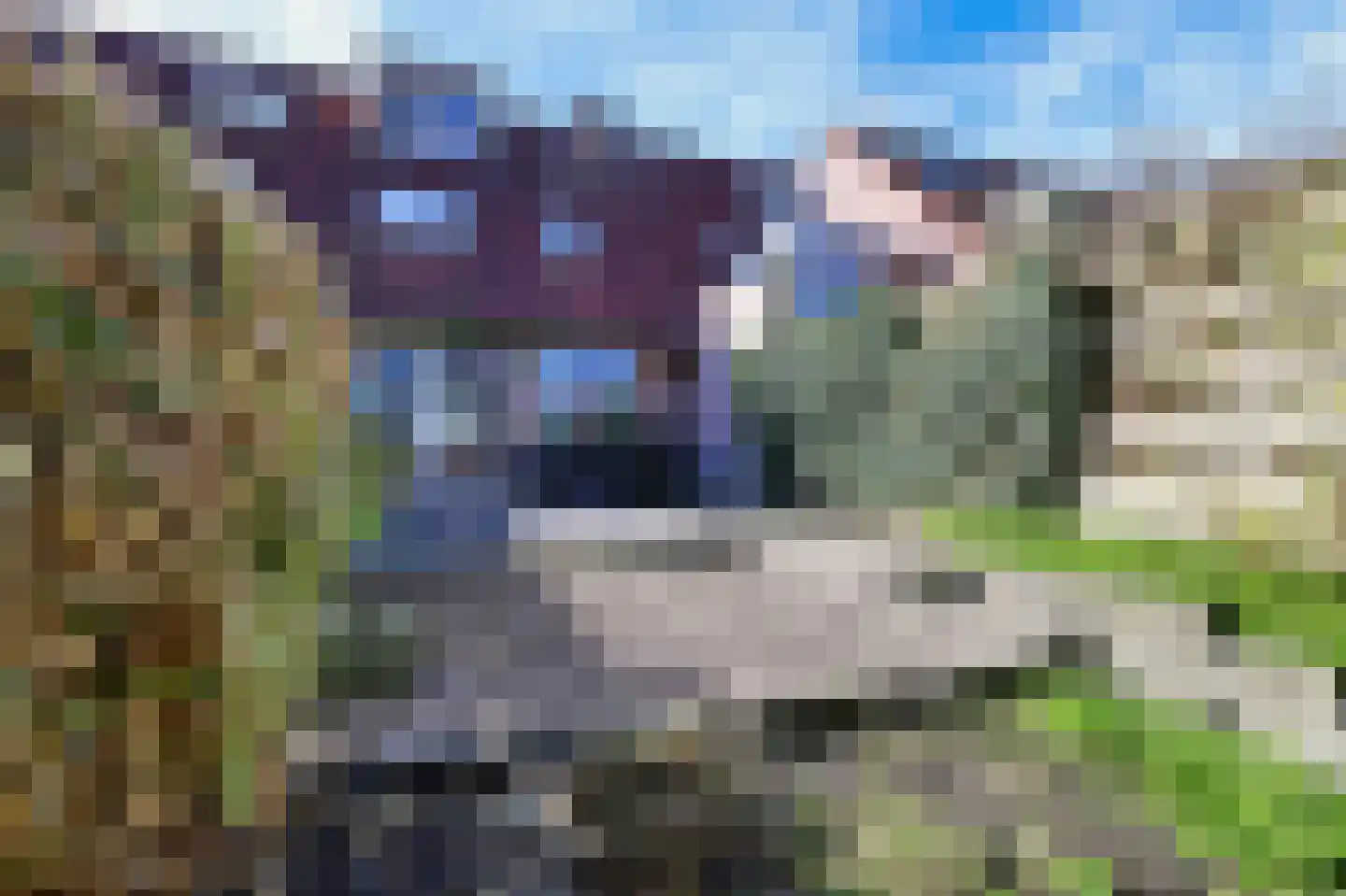 Joke Smitstraat 65 Bergen (NH) thumbnail 8