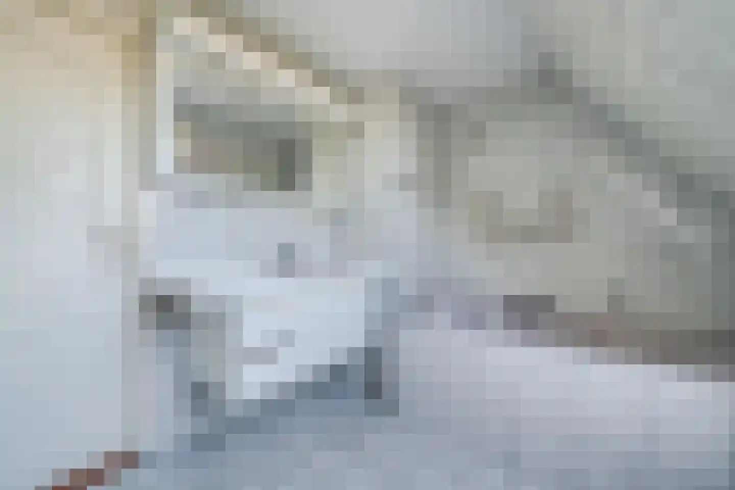 Joke Smitstraat 7 Bergen (NH) thumbnail 22