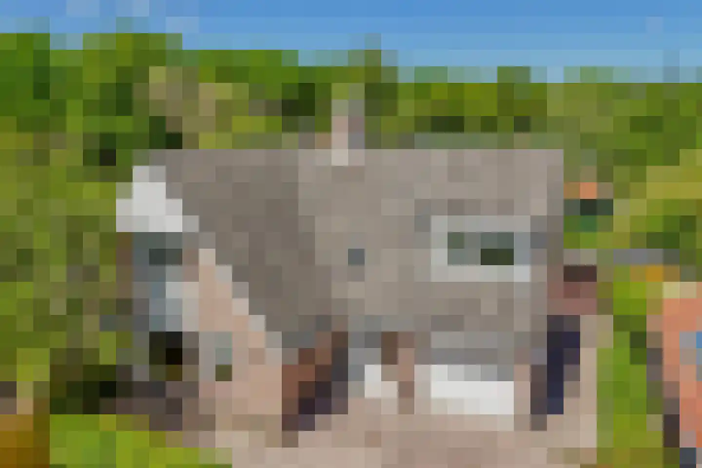 Joke Smitstraat 7 Bergen (NH) thumbnail 4