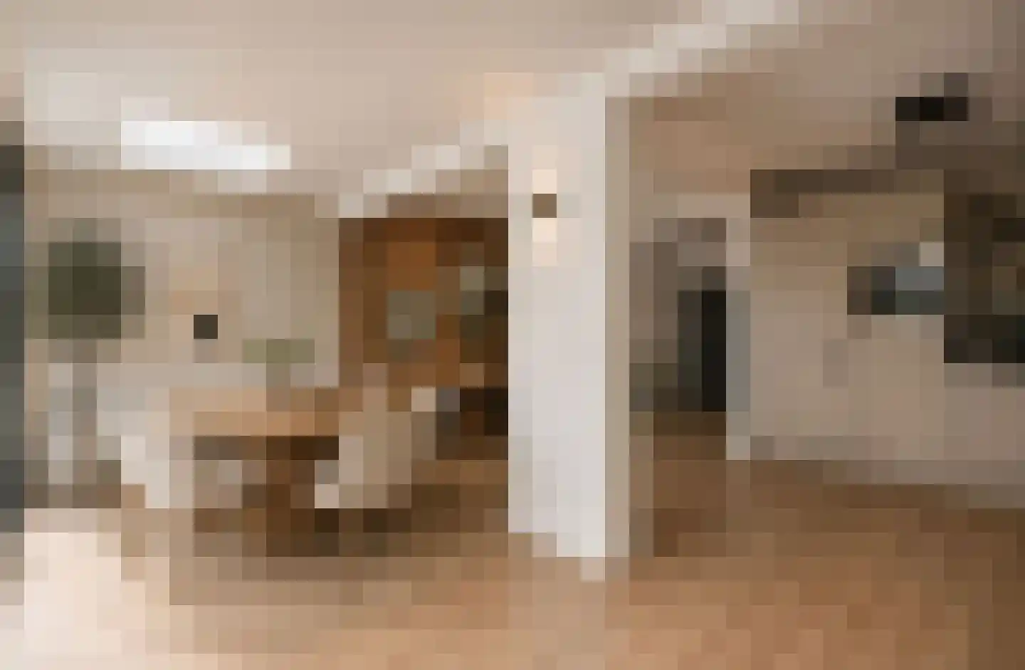 Joke Smitstraat 7 Tiel thumbnail 15
