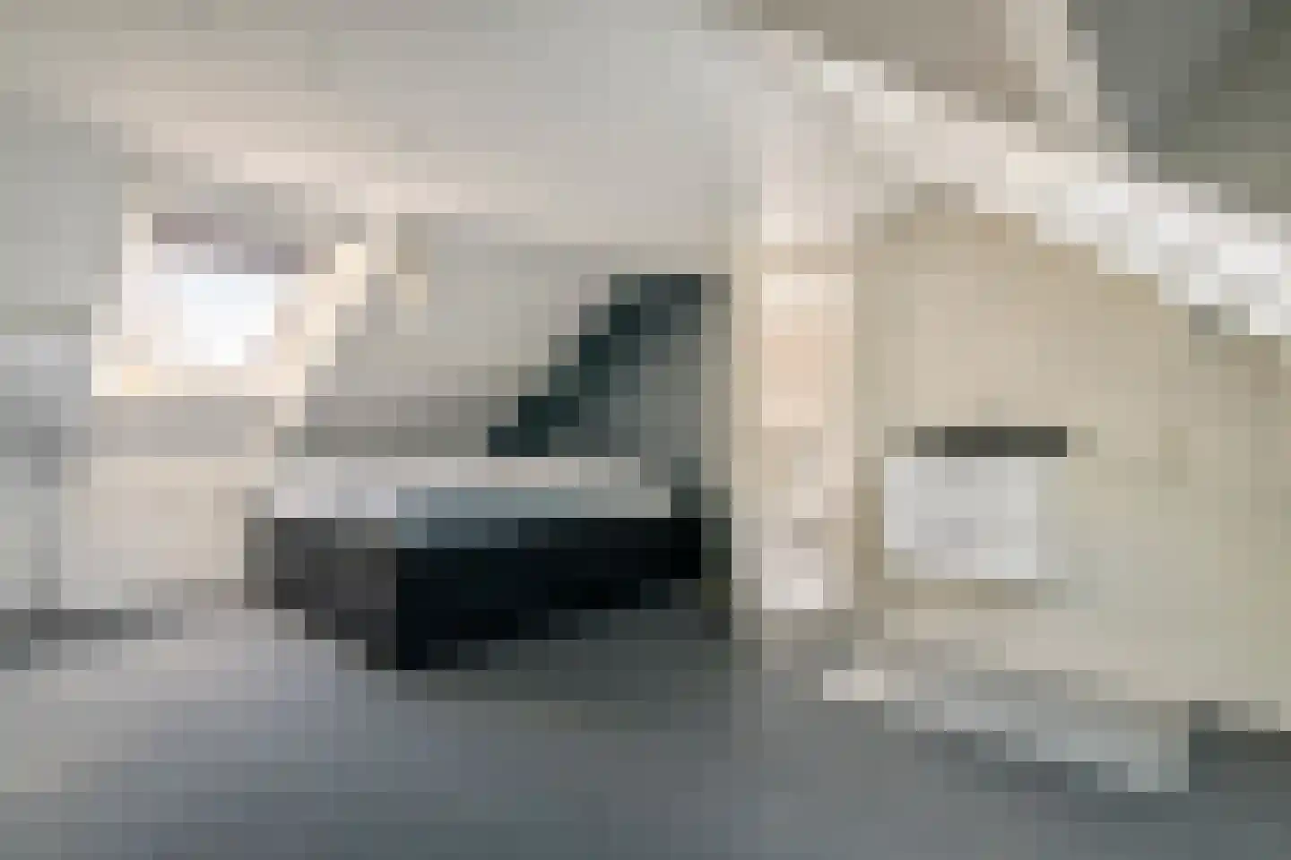 Joke Smitstraat 7 Tiel thumbnail 40