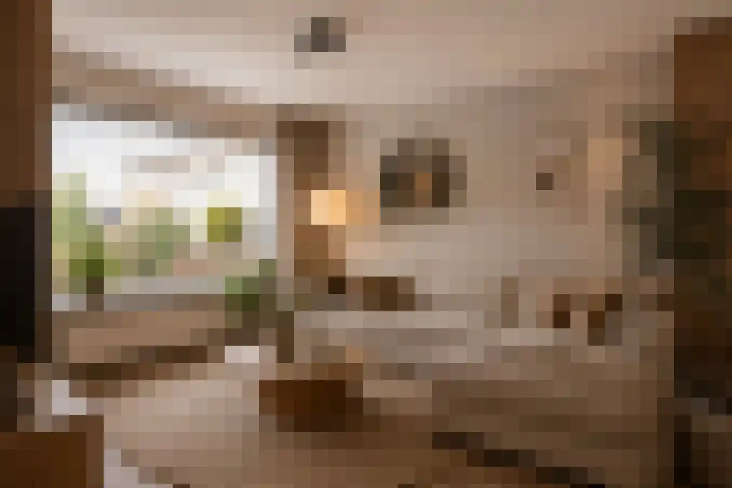 Joke Smitstraat 7 Tiel thumbnail 8