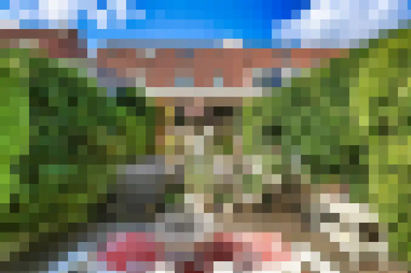 Joke Smitstraat 73 Bergen (NH) thumbnail 19