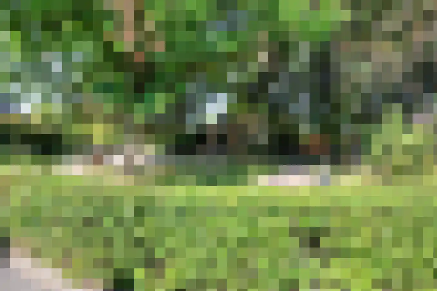 Joke Smitstraat 73 Bergen (NH) thumbnail 5