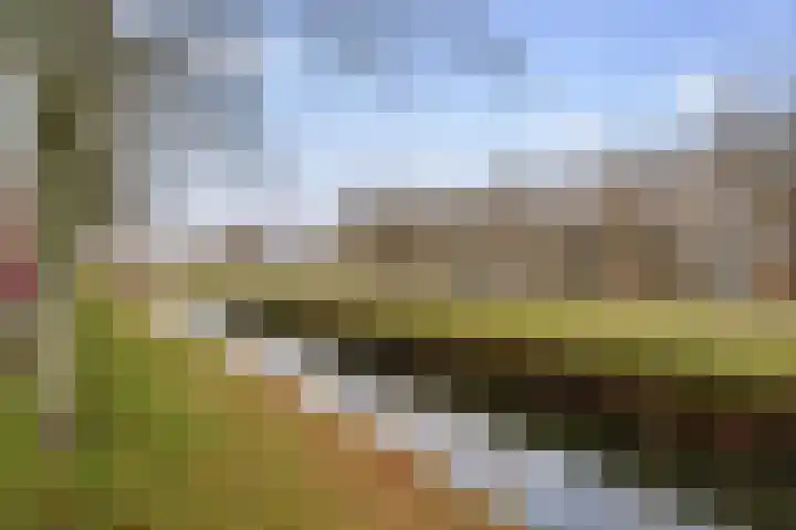 Joke Smitstraat 75 Hoofddorp thumbnail 39