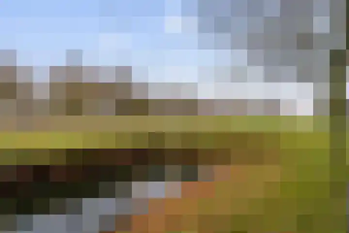 Joke Smitstraat 75 Hoofddorp thumbnail 40