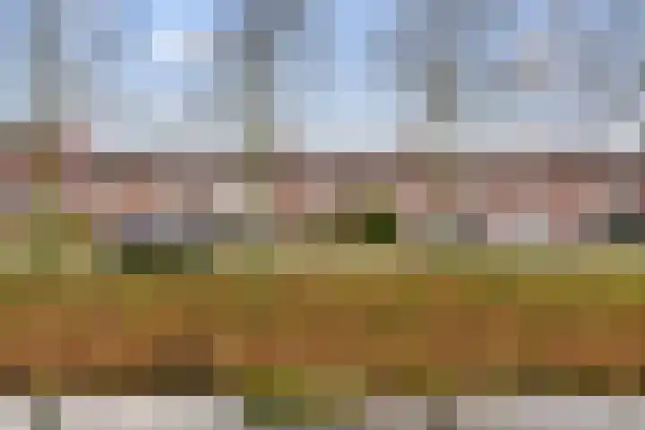 Joke Smitstraat 75 Hoofddorp thumbnail 42