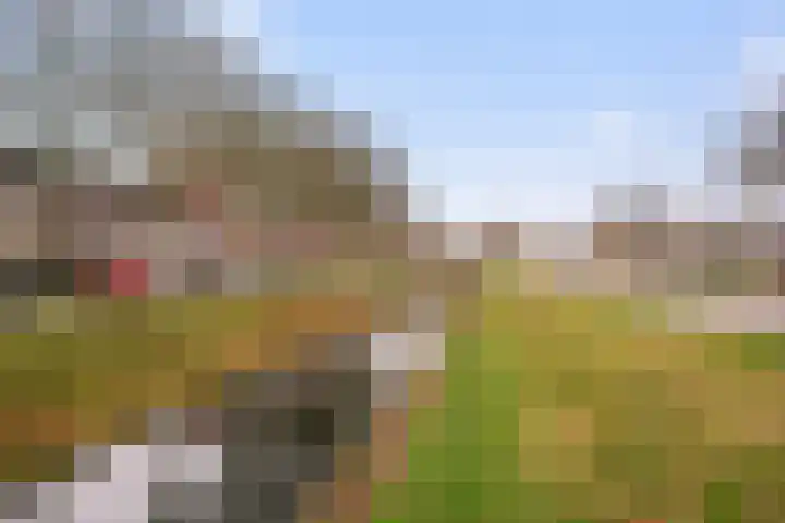 Joke Smitstraat 75 Hoofddorp thumbnail 43