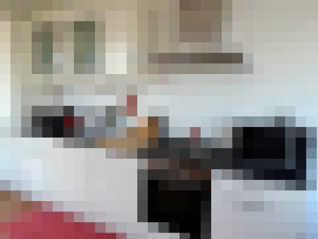 Joke Smitstraat 78 Hoofddorp thumbnail 5