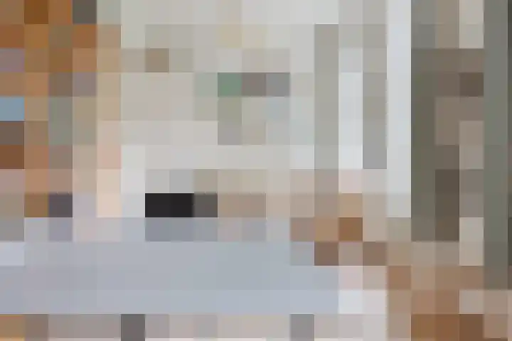 Jokweg 16 De Hoeve thumbnail 22