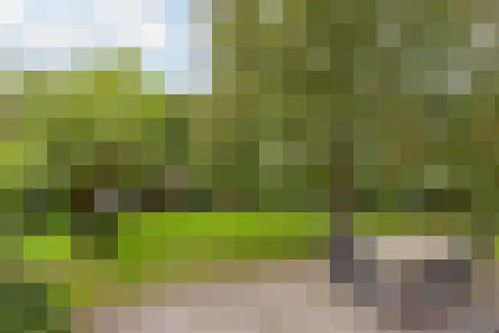 Jokweg 16 De Hoeve thumbnail 36
