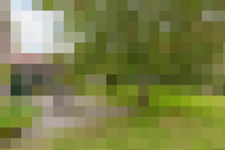 Jokweg 16 De Hoeve thumbnail 37
