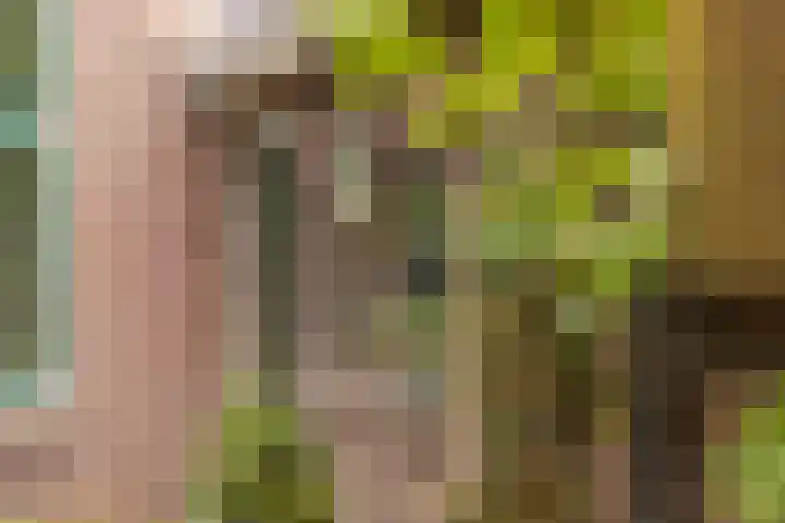 Jokweg 16 De Hoeve thumbnail 38