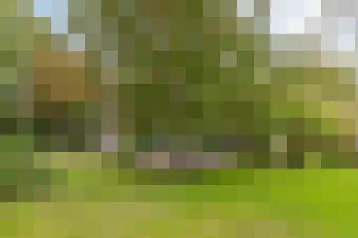 Jokweg 16 De Hoeve thumbnail 39