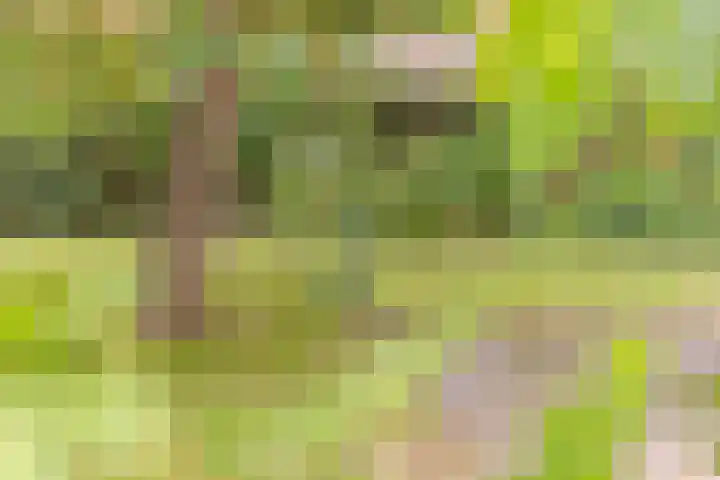 Jokweg 16 De Hoeve thumbnail 40