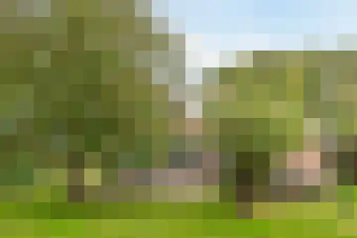 Jokweg 16 De Hoeve thumbnail 41