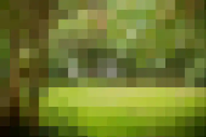 Jokweg 16 De Hoeve thumbnail 42