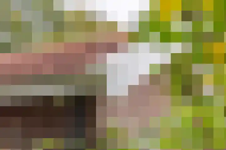 Jokweg 16 De Hoeve thumbnail 44