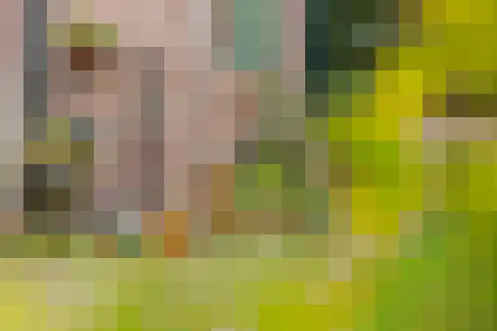 Jokweg 16 De Hoeve thumbnail 45