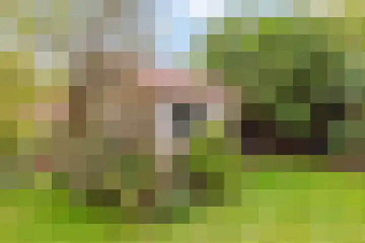 Jokweg 16 De Hoeve thumbnail 46