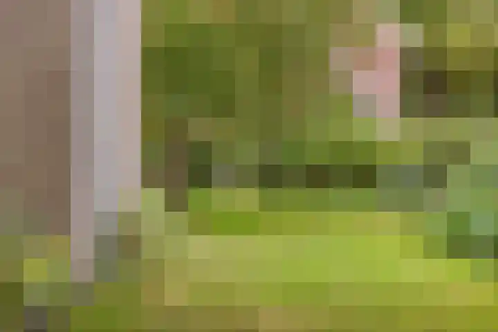 Jokweg 16 De Hoeve thumbnail 47