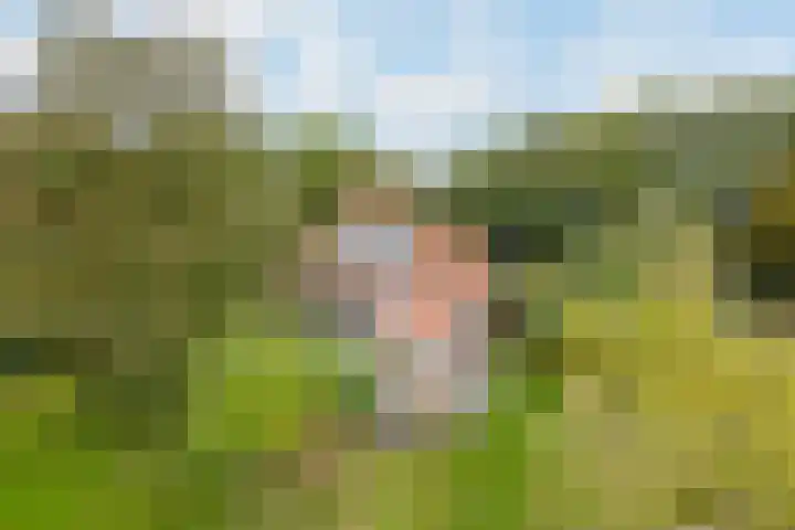 Jokweg 16 De Hoeve thumbnail 48