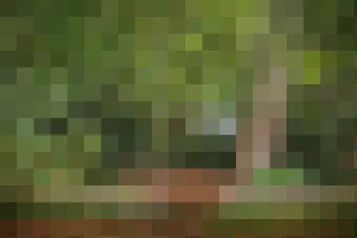 Jokweg 16 De Hoeve thumbnail 50