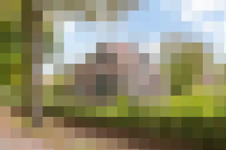 Jokweg 16 De Hoeve thumbnail 6
