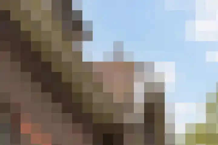Jokweg 16 De Hoeve thumbnail 7