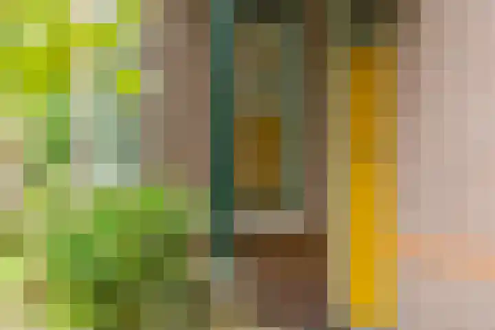 Jokweg 16 De Hoeve thumbnail 8