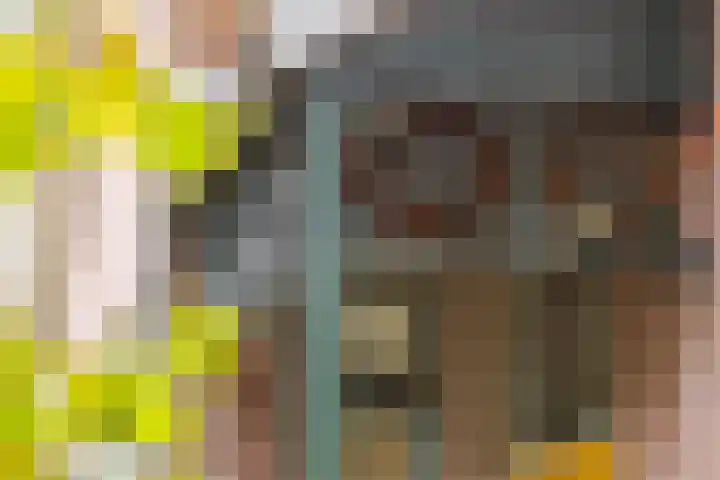 Jokweg 16 De Hoeve thumbnail 9