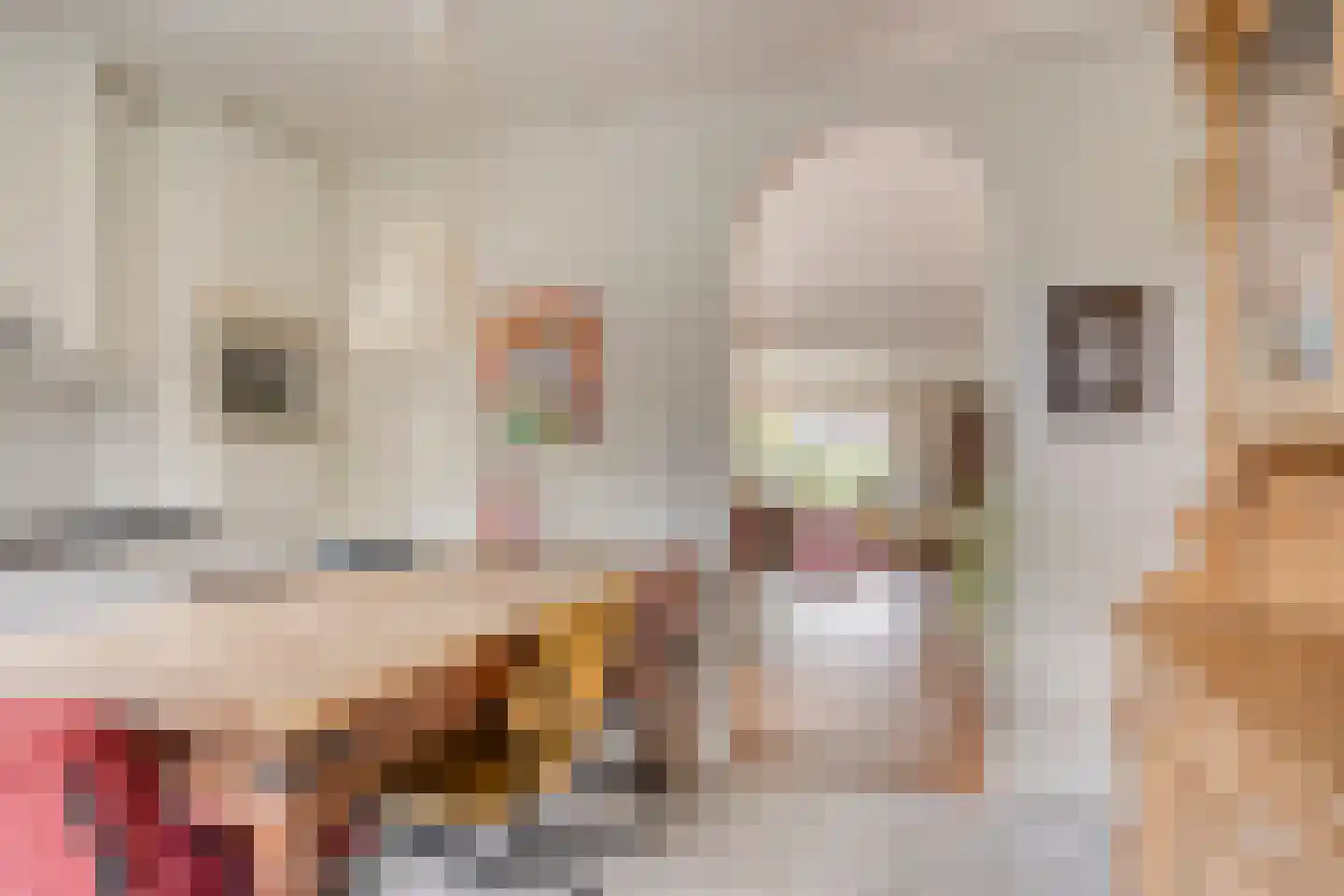 Jokweg 32 De Hoeve thumbnail 13