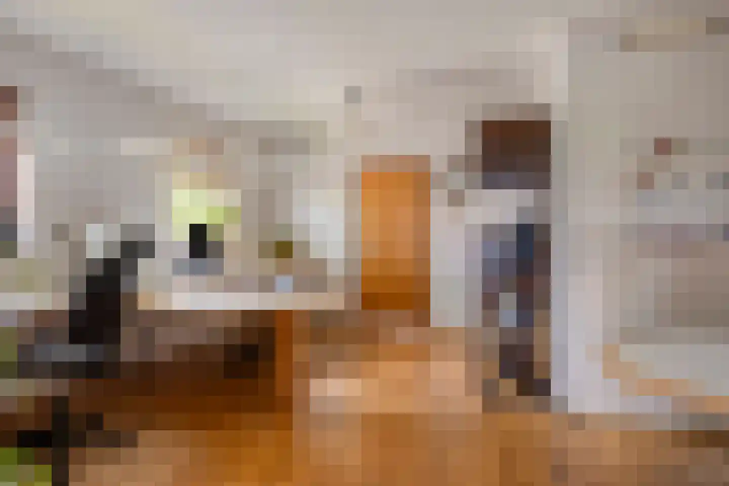 Jokweg 32 De Hoeve thumbnail 17
