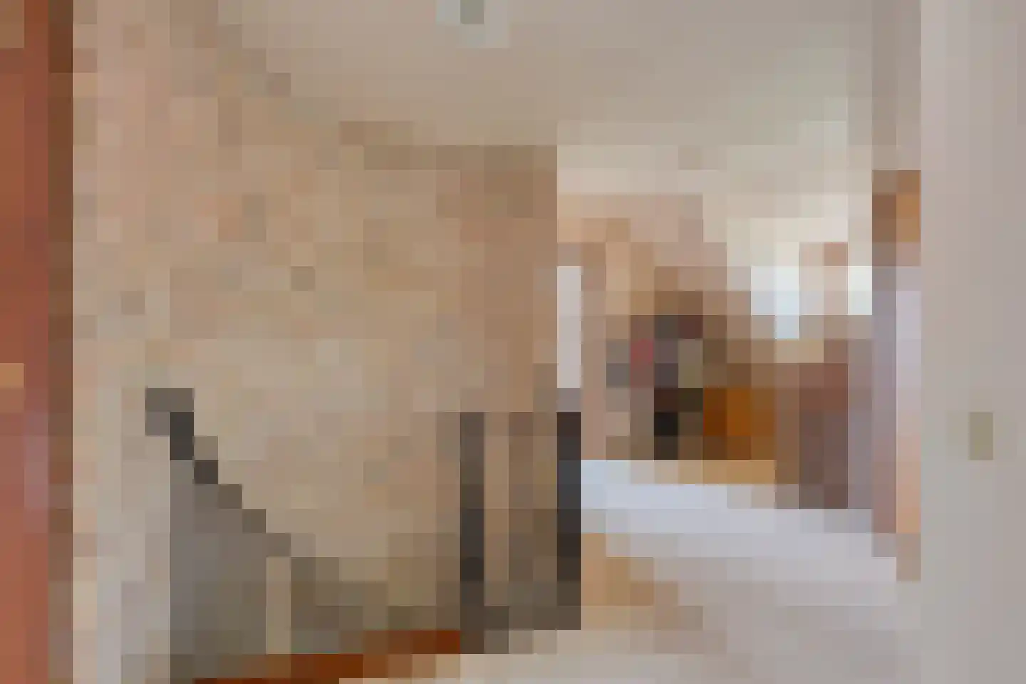 Jokweg 32 De Hoeve thumbnail 23