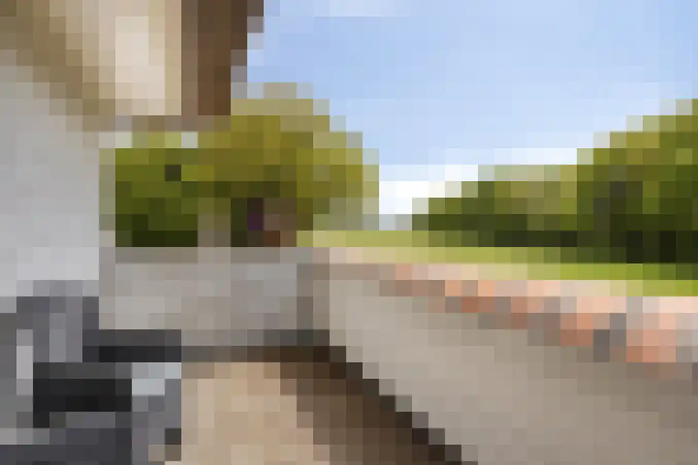 Jokweg 32 De Hoeve thumbnail 28
