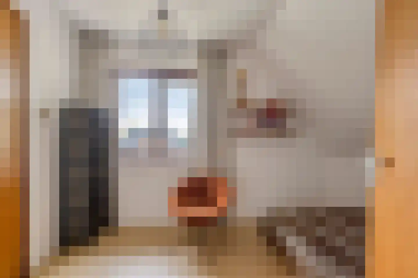 Jokweg 32 De Hoeve thumbnail 33