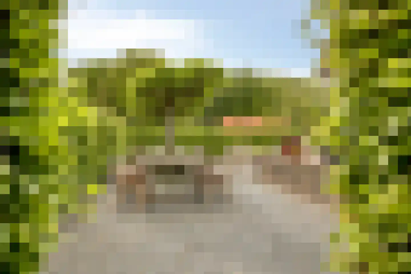 Jokweg 32 De Hoeve thumbnail 39