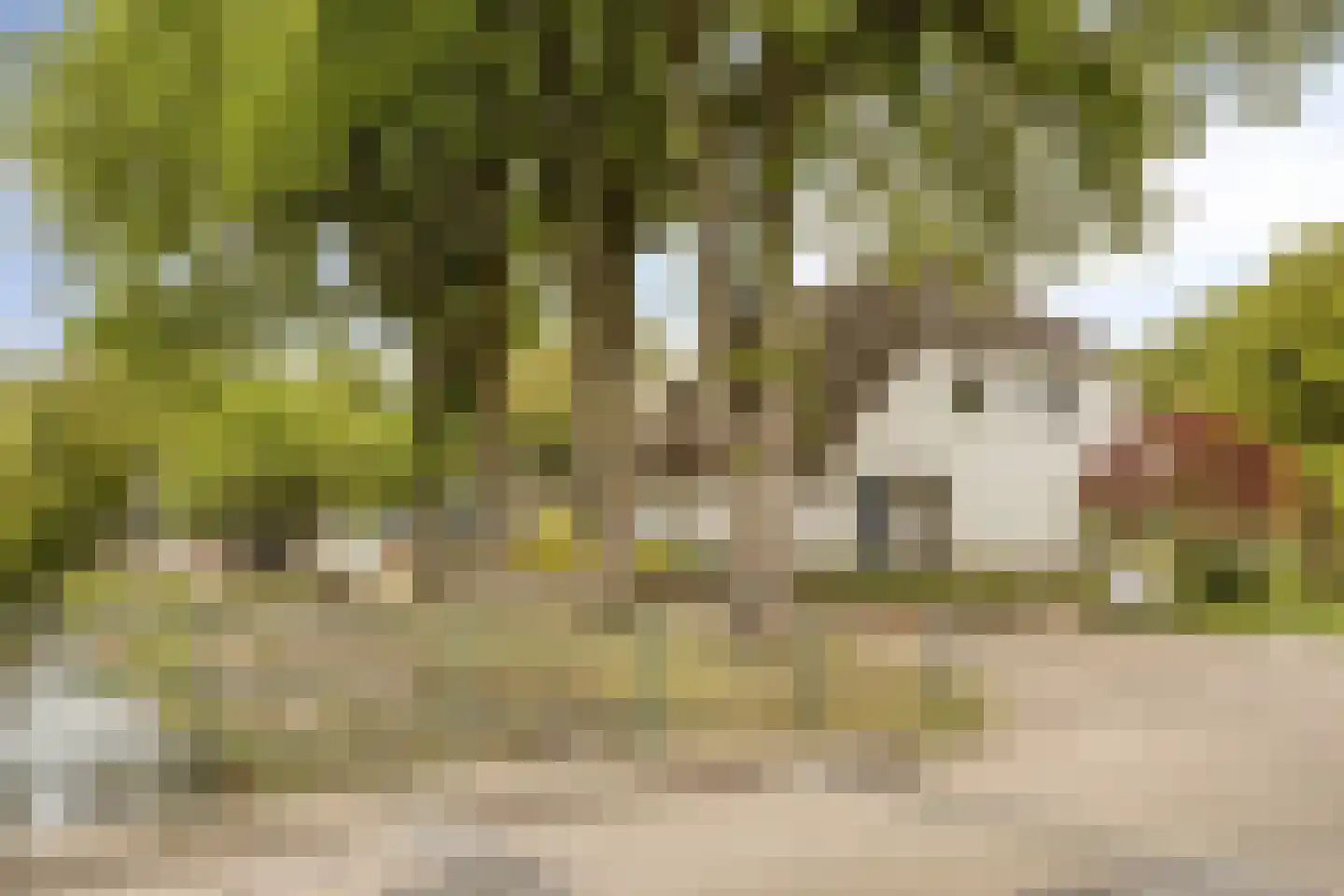 Jokweg 32 De Hoeve thumbnail 4