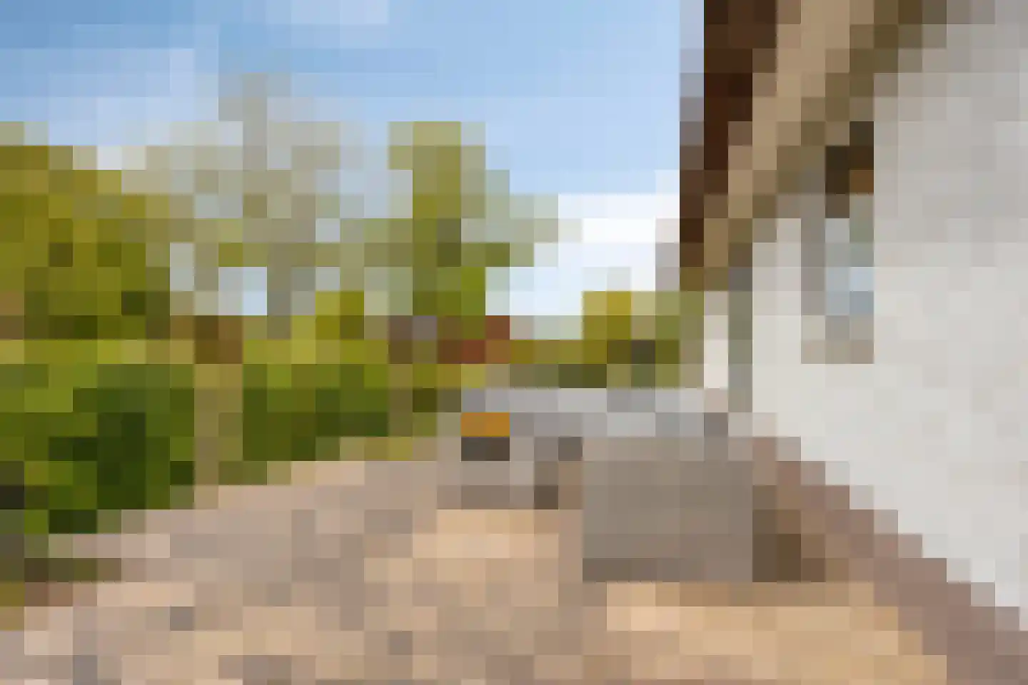 Jokweg 32 De Hoeve thumbnail 40