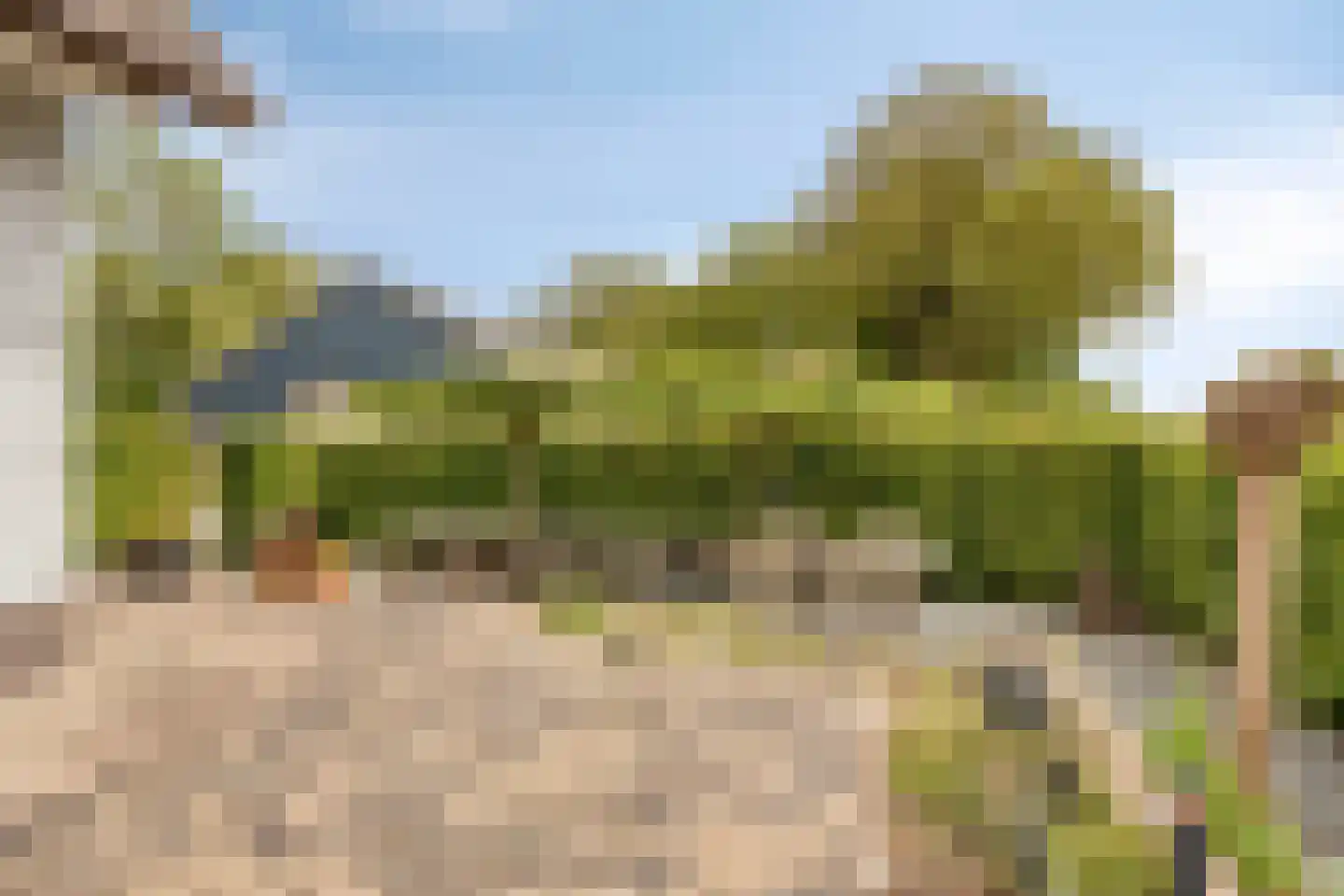 Jokweg 32 De Hoeve thumbnail 41