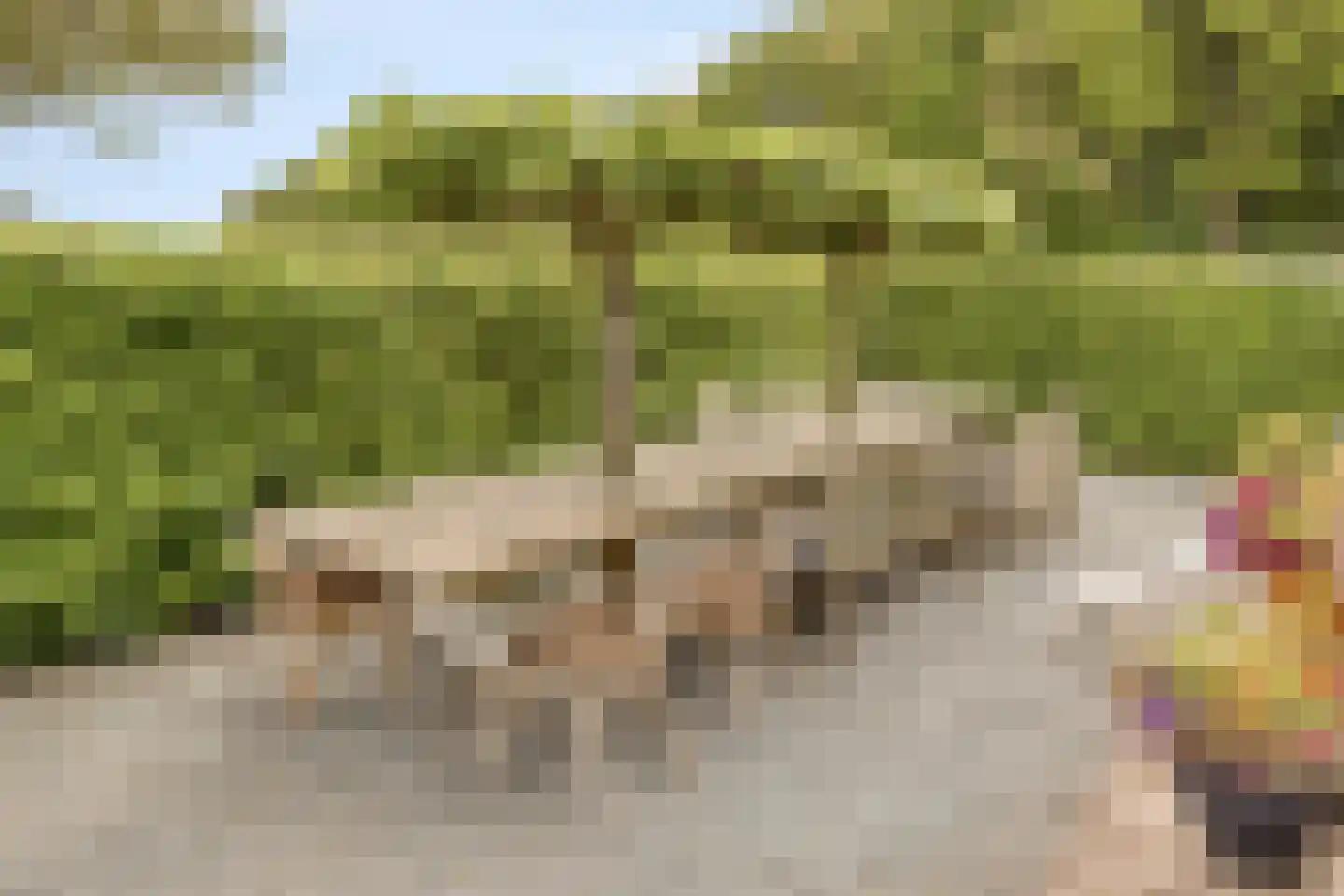 Jokweg 32 De Hoeve thumbnail 42