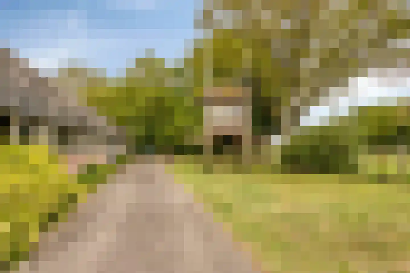 Jokweg 32 De Hoeve thumbnail 48