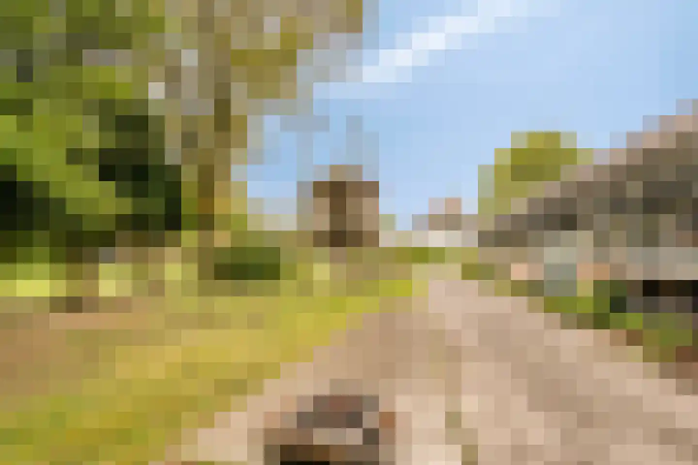 Jokweg 32 De Hoeve thumbnail 49