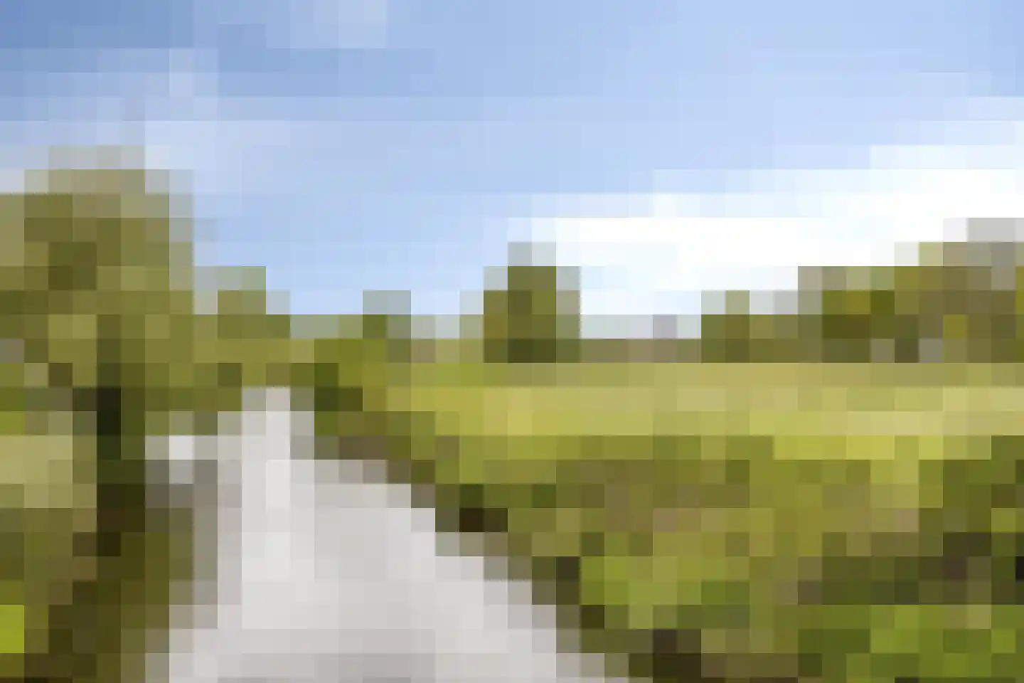 Jokweg 32 De Hoeve thumbnail 55