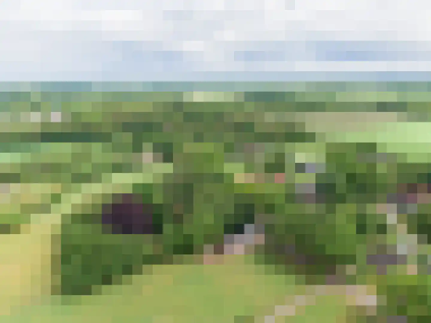 Jokweg 32 De Hoeve thumbnail 56