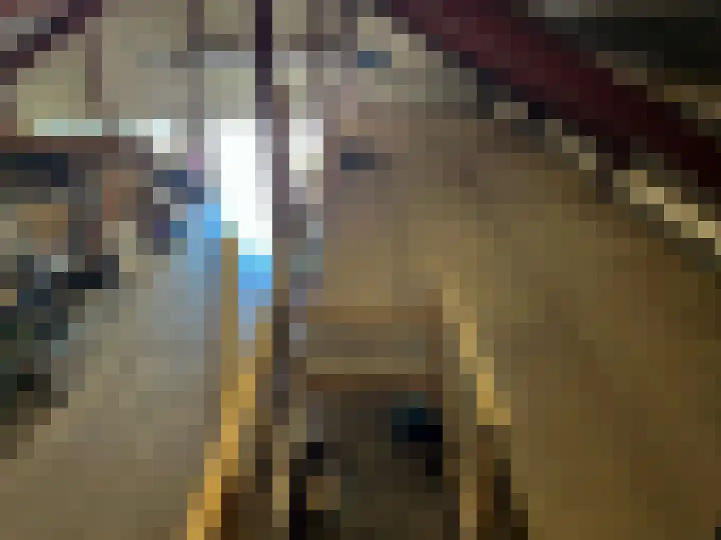 Jokweg 32 De Hoeve thumbnail 58